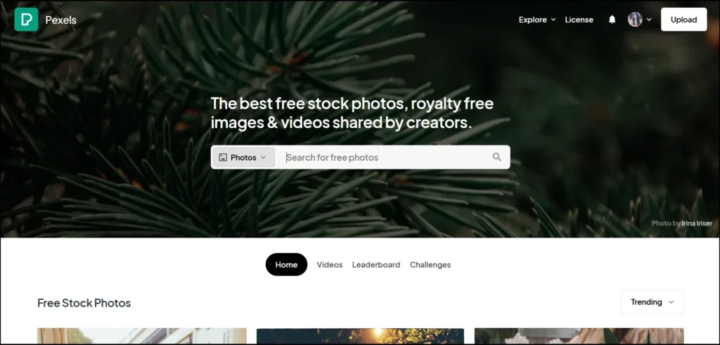 Pexels - useful websites for designers
