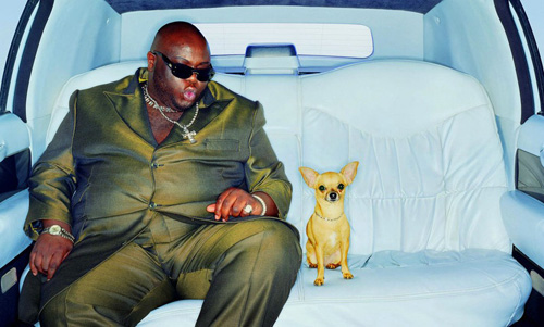 Big Ideas, Great Photos