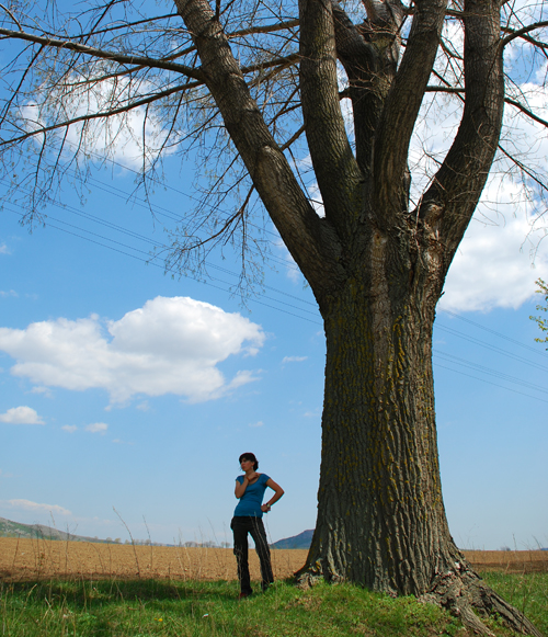 Cross Processing Using Photoshop