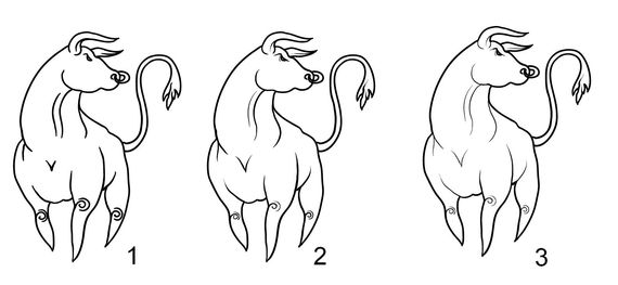 Quick Tip: Free-hand drawing brushes setup for Illustrator