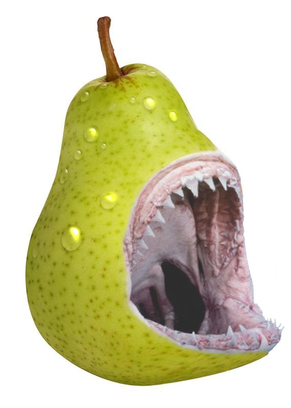 shark pear shark pear
