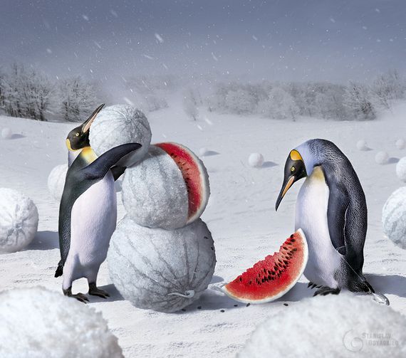 penguins building a watermelon snowman penguins building a watermelon snowman