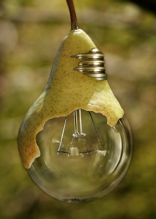 pear and lightbulb pear and lightbulb
