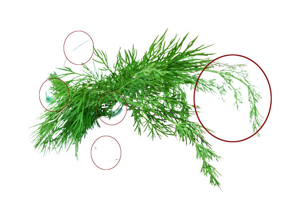 18 glamour scene in Photoshop