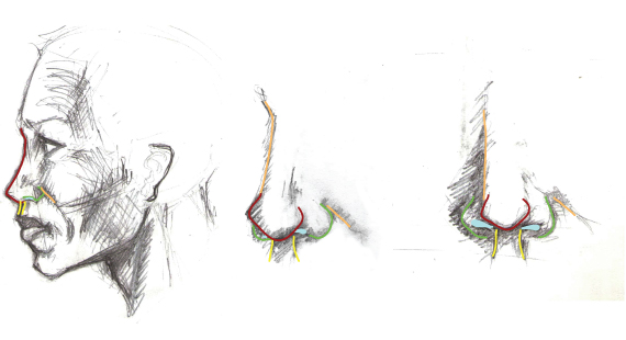 Drawing vector portraits : The Nose 2