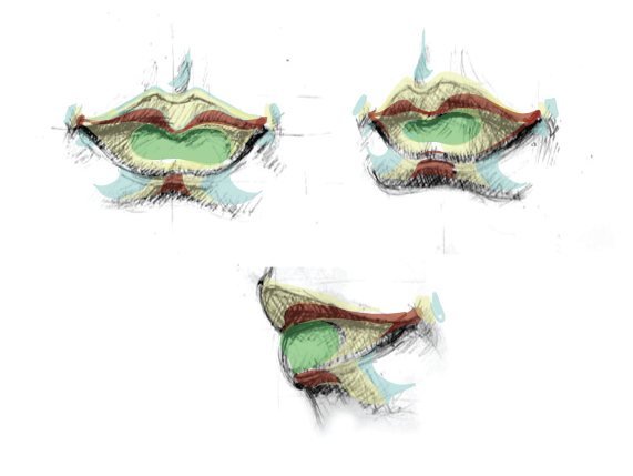 4 Lip Vector Drawing Basics - 4