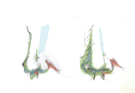 Drawing vector portraits : The Nose 4