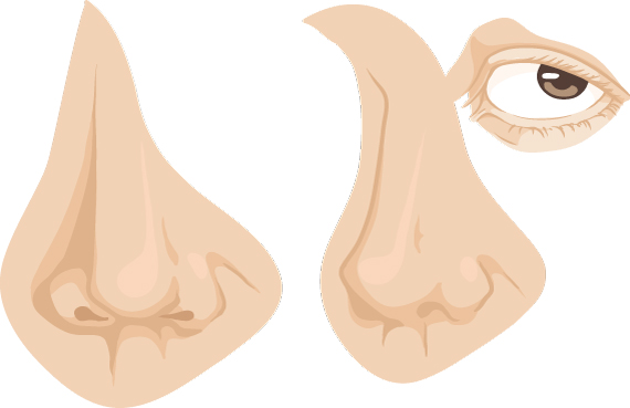 Drawing vector portraits : The Nose 5