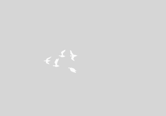 75 glamour scene in Photoshop