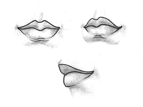 7 How to do Vector Drawing - Lip Vector Drawing Basics - 7