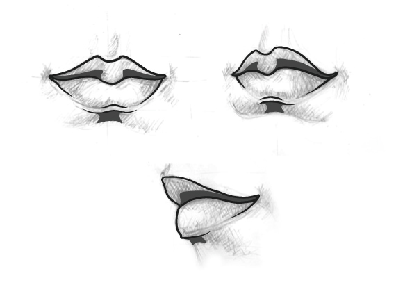 8 How to do Vector Drawing - Lip Vector Drawing Basics - 8