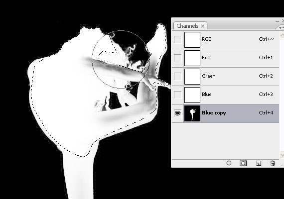 create a dynamic nature poster step 13