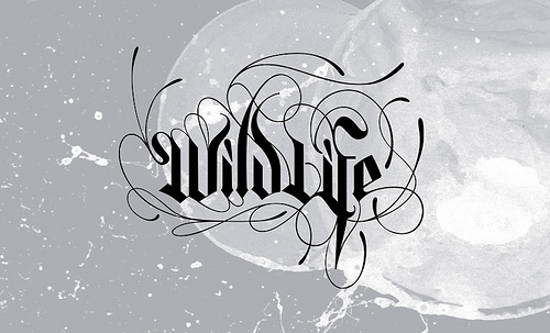 Inspiring Grayscale Images20