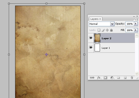 create a dynamic nature poster step 3