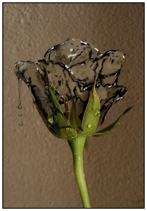 WaterosE_by_DeltaP42 water rose - water manipulation