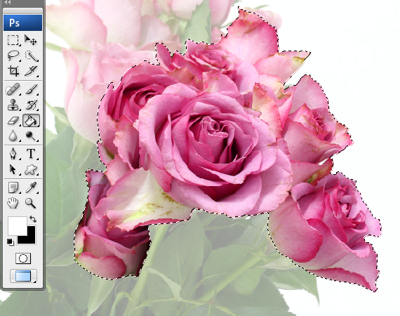 a Magnificent Rose Concept Design 18