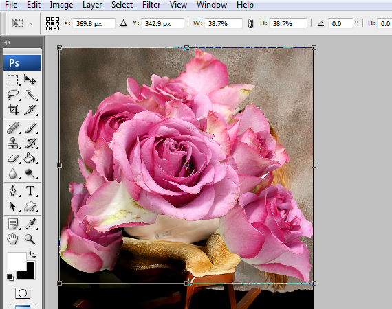 a Magnificent Rose Concept Design 19