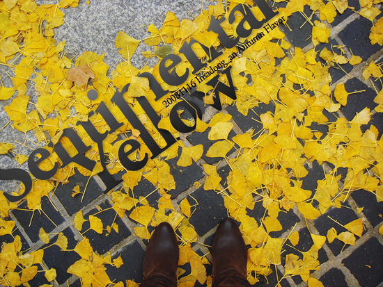 Autumn-Flavor_Typography