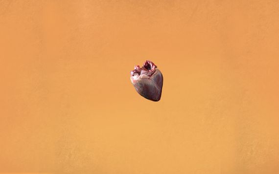 how-to-create-hart-modern-concept-9