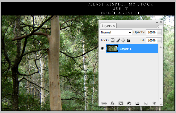 2-designious-mad-chihuahua-tutorial