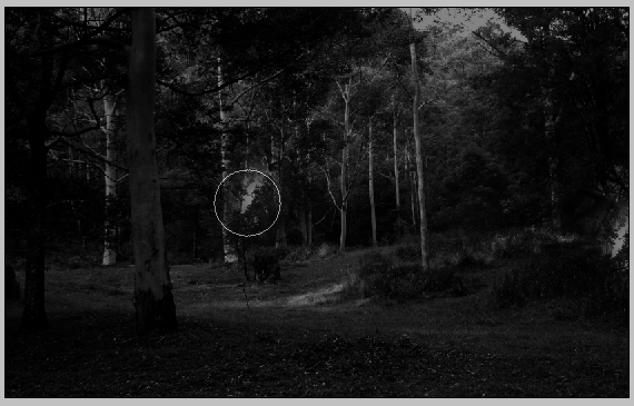 6-designious-mad-chihuahua-tutorial