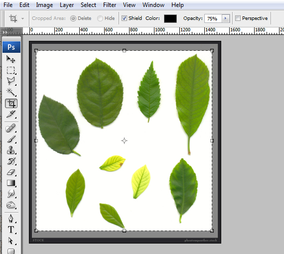 10-designioustimes-abstract-nature-composition-tutorial