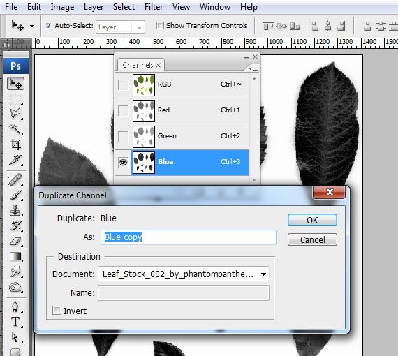 12-designioustimes-abstract-nature-composition-tutorial