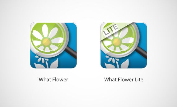 Dragos Bardac – A Talented Visual Artist