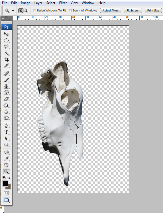 How to Create a Conceptual Headdress in Photoshop Step 6