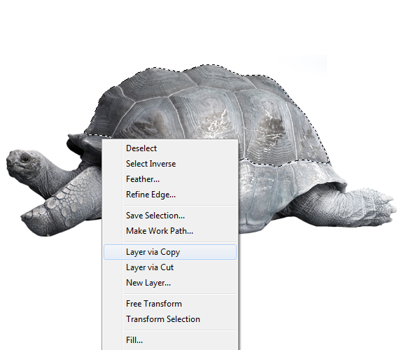 10-pixel-77-eco-ad-concept-tutorial Creating an Eco-friendly Concept Design in Photoshop step 10