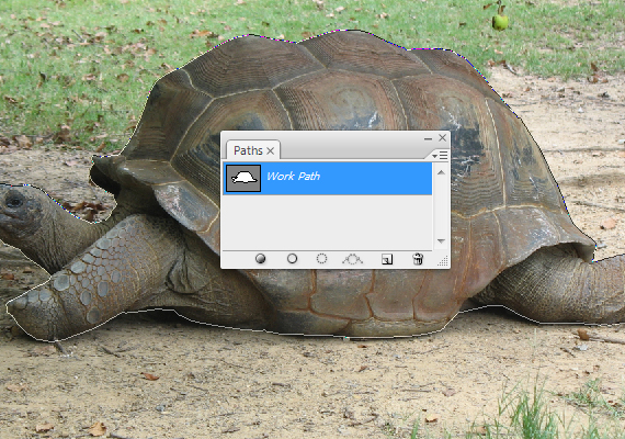 2-pixel-77-eco-ad-concept-tutorial Creating an Eco-friendly Concept Design in Photoshop step 2