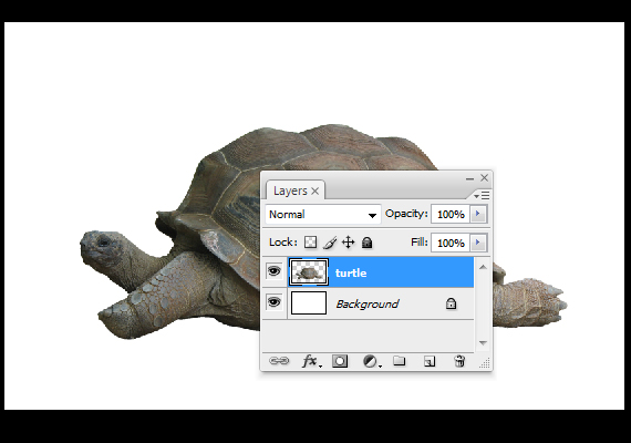 3-pixel-77-eco-ad-concept-tutorial Creating an Eco-friendly Concept Design in Photoshop step 3