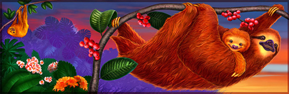 Weird-and-Wild-Animals