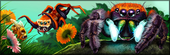 Weird-and-Wild-Animals2