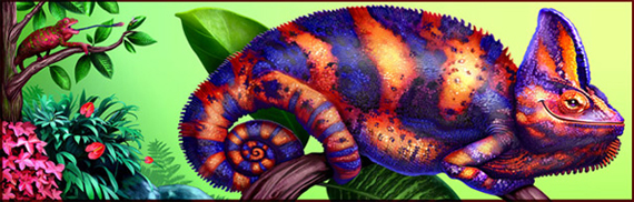 wild-and-weird-animals