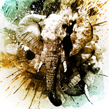 Photoshop Tutorials Roundup – May 2011