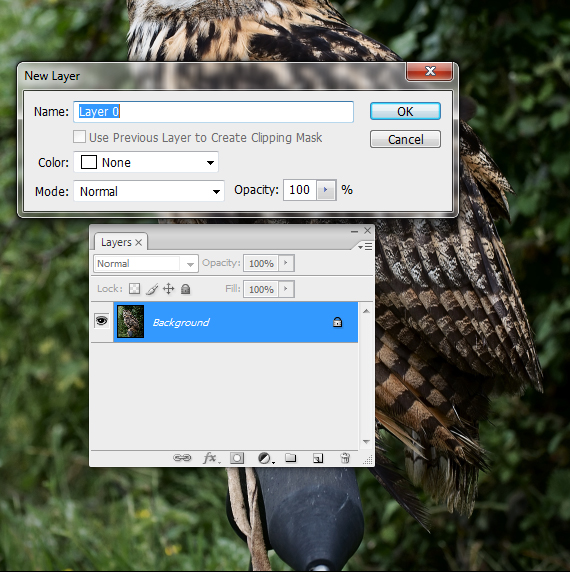 1-pixel-77-owl-poster-tutorial how to create a movie poster in photoshop - open the file