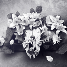 How to create a concept from an idea to final design in Photoshop