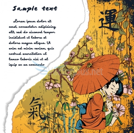 2438-torn-cardboard-with-geisha