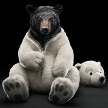 Babies and Animals Equate to Gold in Print Advertising