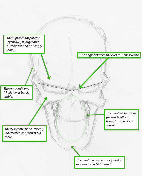 Wicked skull drawings - Skull Anatomy