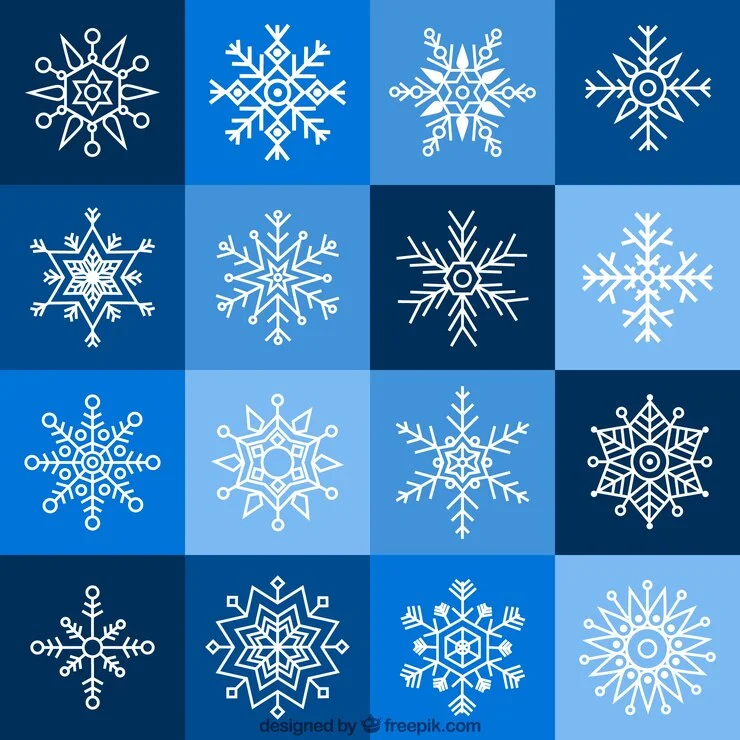 snowflake vector