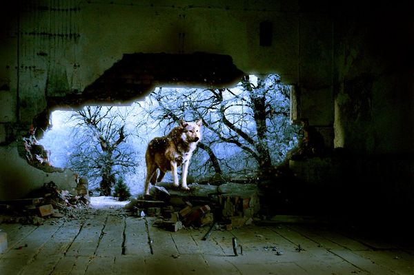 Last-one-standing-Chad-gersky