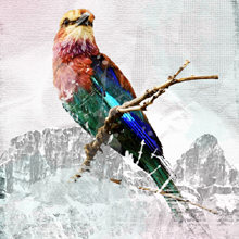 Photoshop Tutorials Roundup – January 2012