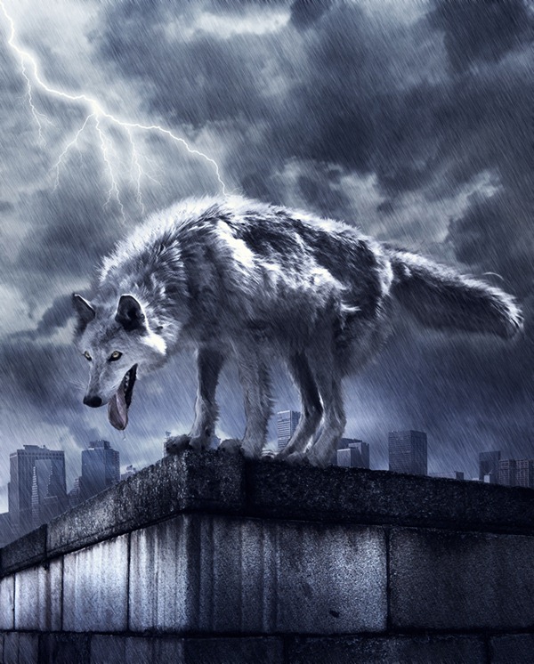 wolf-photo-manipulation-photoshop-tutorial wolf-photo-manipulation-photoshop-tutorial