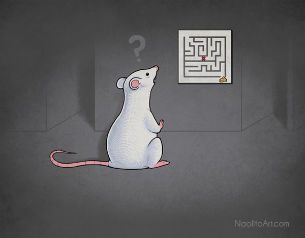 Illustrator-Naolito-11