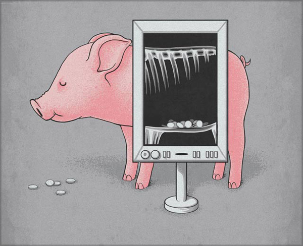 Illustrator-Naolito-13