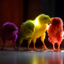 11 Most Crazy Design Related Laws