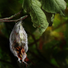 Photoshop Tutorials Roundup – June 2012