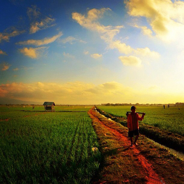 Breathtaking-photos-get-you-hooked-phoneography-14